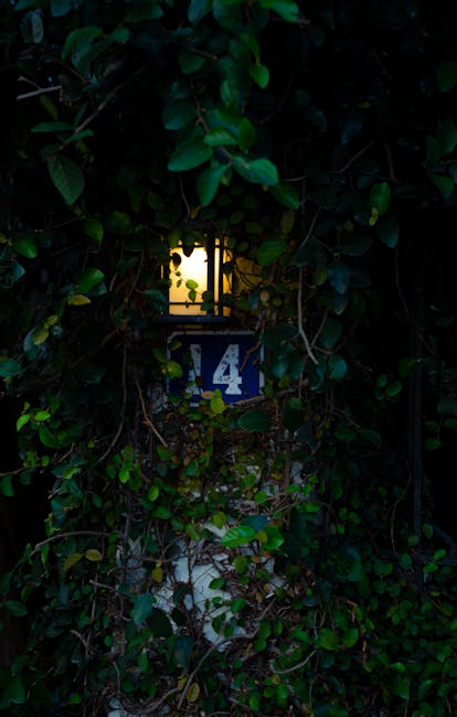 Professional analysis of mutual fund portfolios