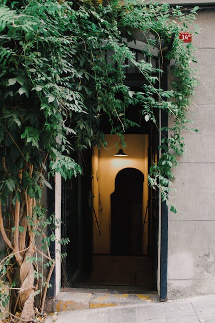 Fixed income instruments and government bonds